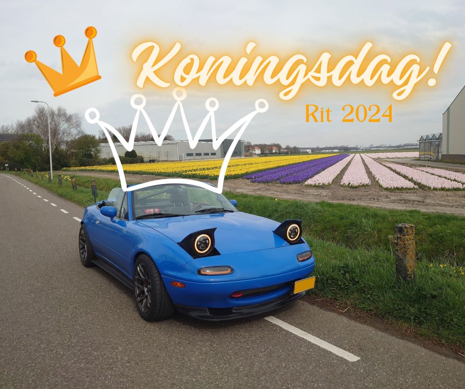 koningsdagrit 2024 affiche
